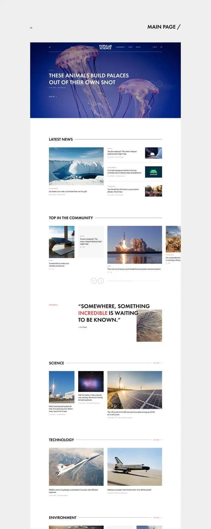 Corporate Website
